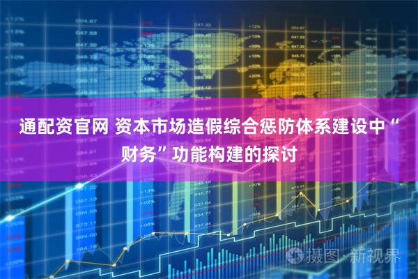 通配资官网 资本市场造假综合惩防体系建设中“财务”功能构建的探讨