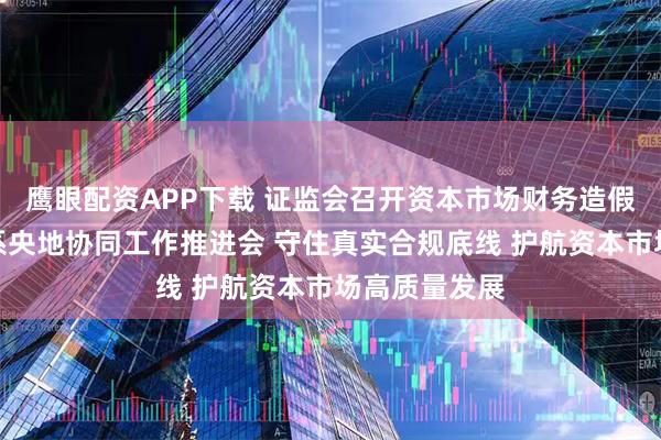 鹰眼配资APP下载 证监会召开资本市场财务造假综合惩防体系央地协同工作推进会 守住真实合规底线 护航资本市场高质量发展
